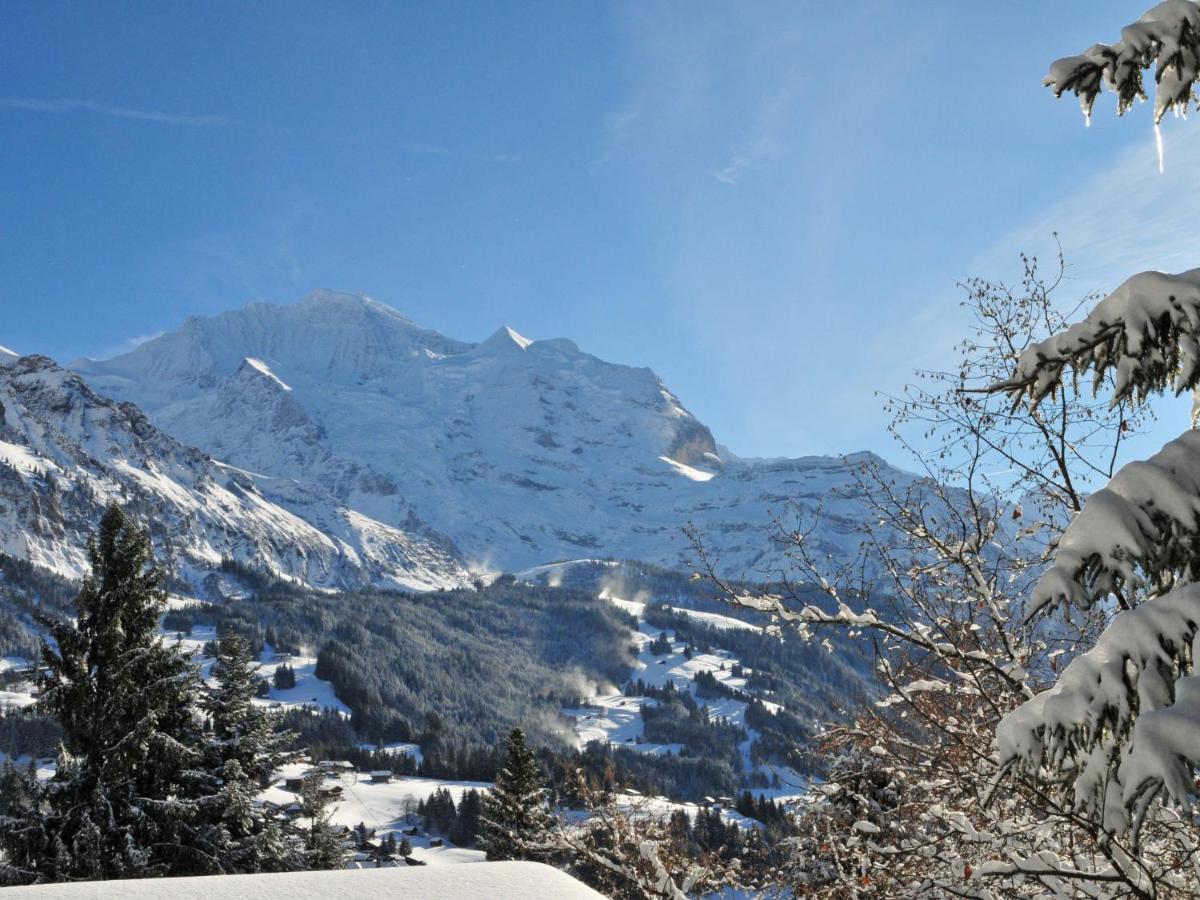 Studio Krokus By Interhome Wengen Dış mekan fotoğraf